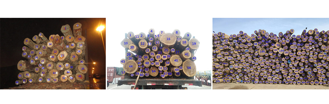 1577350176238116.jpg 20190702103624_7443.jpg